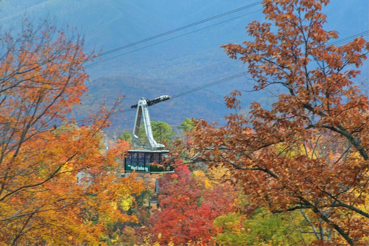 Knotty & Nice Holiday Home Gatlinburg Eksteriør bilde